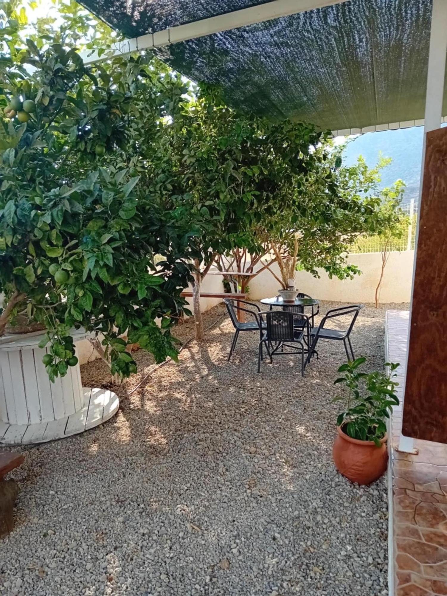 Studios Anna Maria With Sea View Kapetanianá Exterior photo